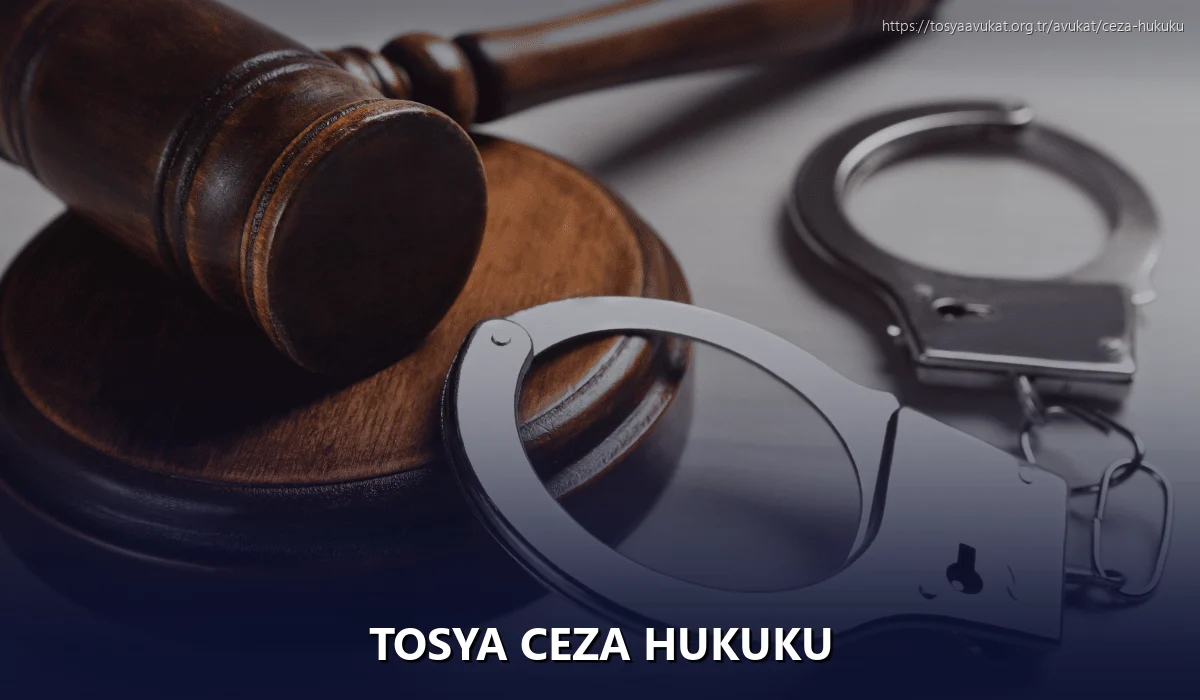 Tosya Ceza Hukuku